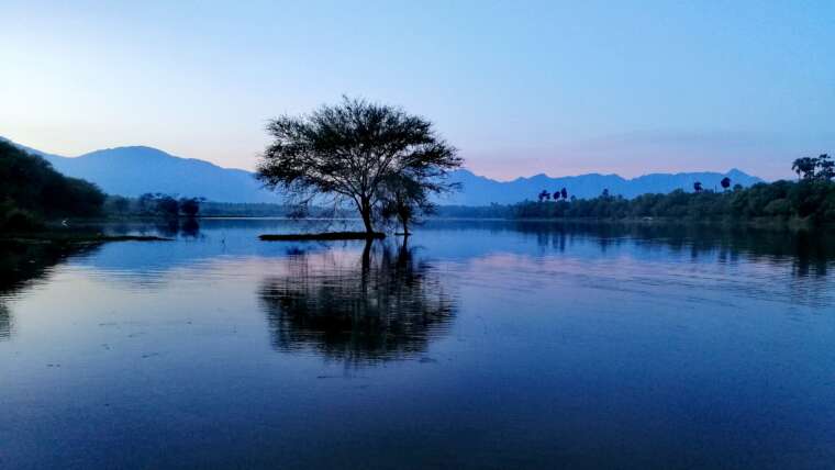 Wake Up and Preparation